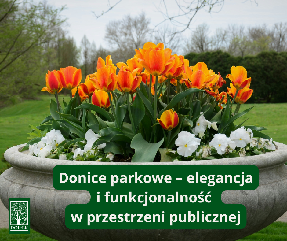 Donice parkowe – elegancja i funkcjonalność w przestrzeni publicznej